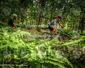 Bartje 200 photo