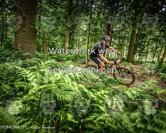 Bartje 200 photo
