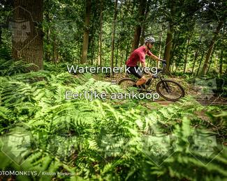Bartje 200 photo