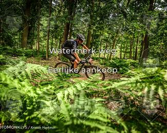 Bartje 200 photo