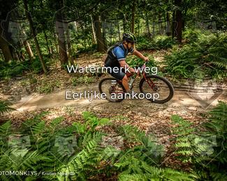 Bartje 200 photo