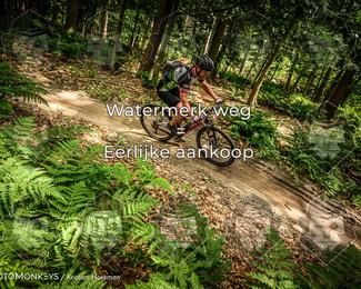 Bartje 200 photo