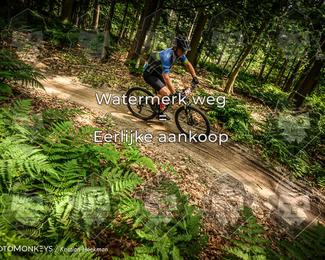 Bartje 200 photo