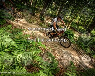 Bartje 200 photo