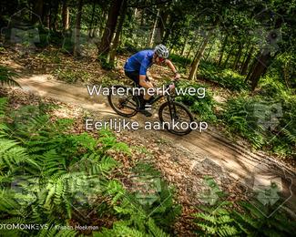 Bartje 200 photo