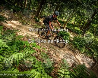Bartje 200 photo