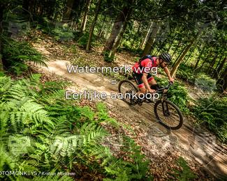 Bartje 200 photo
