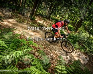 Bartje 200 photo