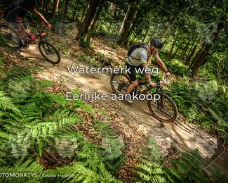 Bartje 200 photo