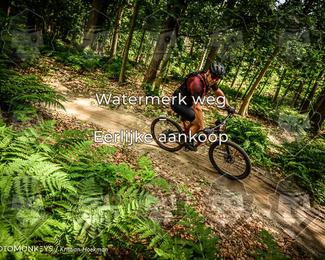 Bartje 200 photo