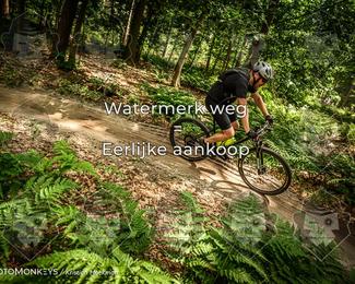 Bartje 200 photo
