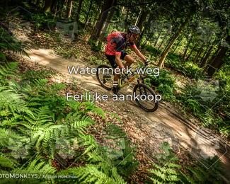 Bartje 200 photo