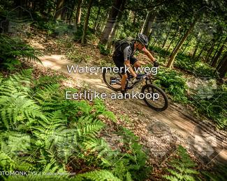 Bartje 200 photo
