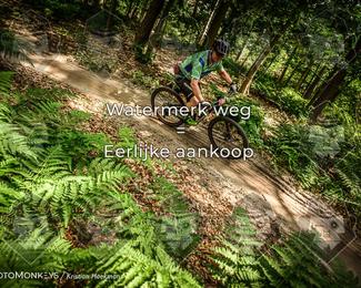 Bartje 200 photo