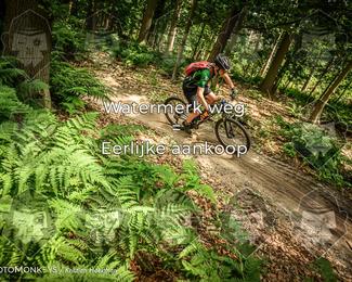 Bartje 200 photo