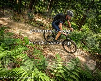 Bartje 200 photo