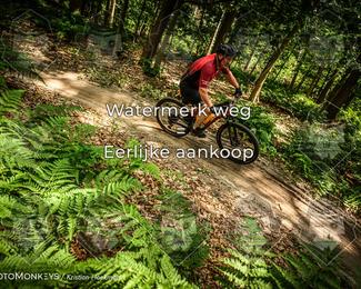 Bartje 200 photo