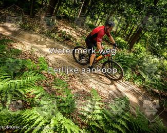 Bartje 200 photo