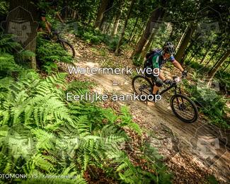 Bartje 200 photo