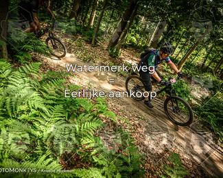 Bartje 200 photo