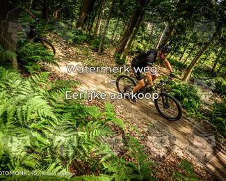 Bartje 200 photo