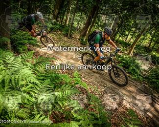 Bartje 200 photo