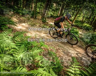 Bartje 200 photo