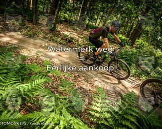Bartje 200 photo