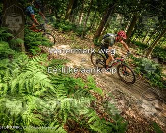 Bartje 200 photo