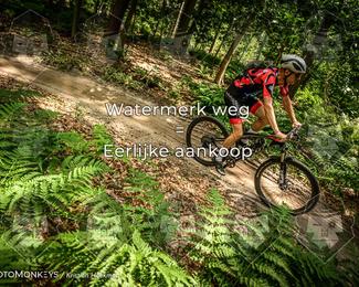 Bartje 200 photo