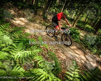 Bartje 200 photo