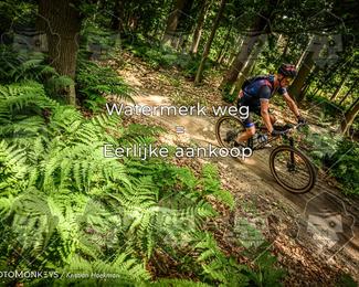 Bartje 200 photo