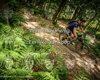 Bartje 200 photo