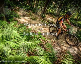 Bartje 200 photo
