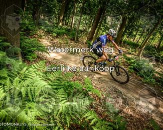 Bartje 200 photo