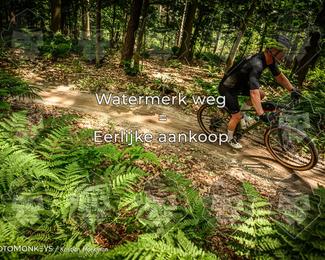 Bartje 200 photo