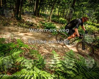 Bartje 200 photo