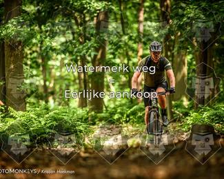 Bartje 200 photo