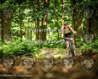 Bartje 200 photo