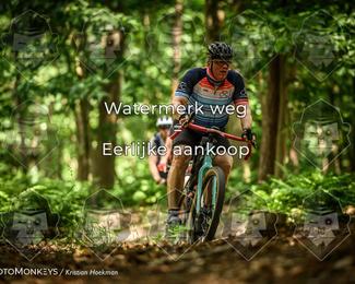 Bartje 200 photo