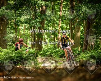 Bartje 200 photo