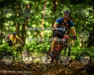 Bartje 200 photo