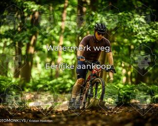 Bartje 200 photo