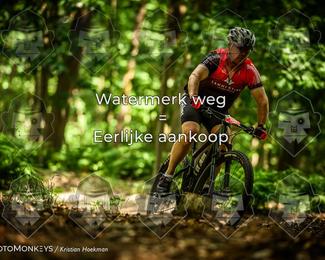 Bartje 200 photo