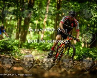 Bartje 200 photo