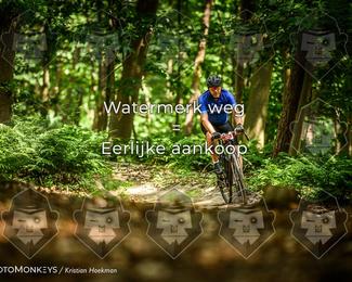 Bartje 200 photo