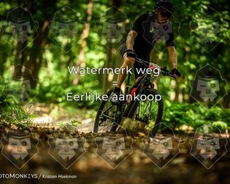 Bartje 200 photo
