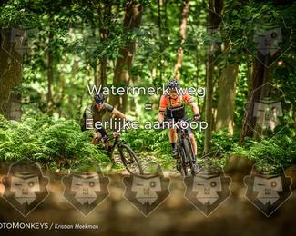 Bartje 200 photo