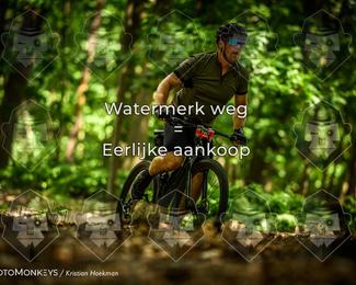 Bartje 200 photo