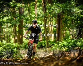 Bartje 200 photo